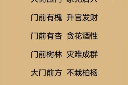 风水：买房选址有讲究，七大准则教你找准风水宝地！