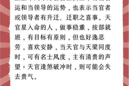 紫微斗数术语解释之：对星