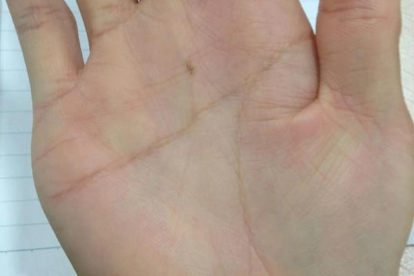 女人断掌手相算命图解