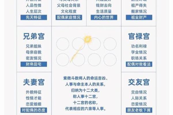 紫薇斗数先天命盘怎么看