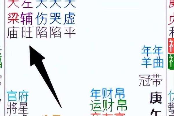 紫薇斗数流年运禄