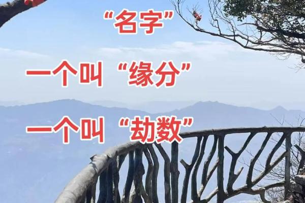 抖音姓名配对缘分是骗局吗 抖音姓名配对缘分测试真的假的？
