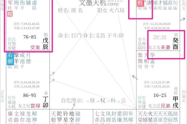 紫薇斗数化解化忌