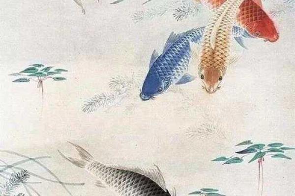 锦鲤风水_锦鲤养13条是什么意思