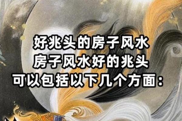 房子的后方风水怎样