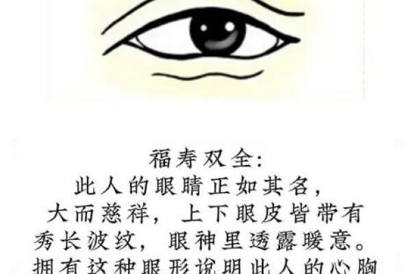 眉毛很浅在面相算命中是怎么说