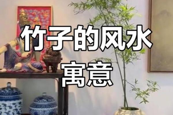 房子旁边竹子风水