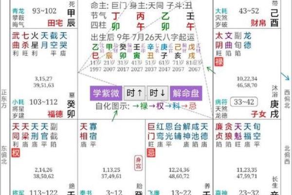 紫薇斗数大运地空