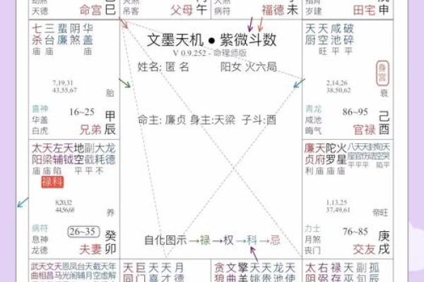 紫薇斗数大运地空