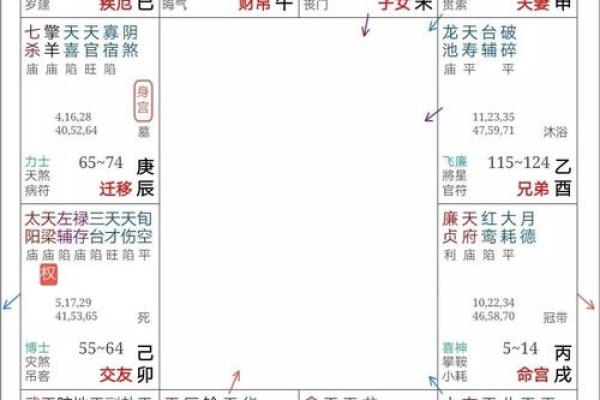 紫薇斗数好命盘