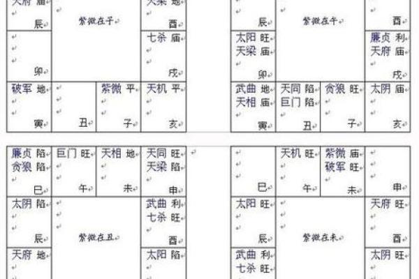 紫薇斗数好命盘