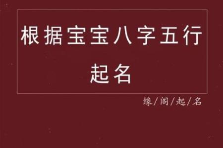 宝宝八字打分