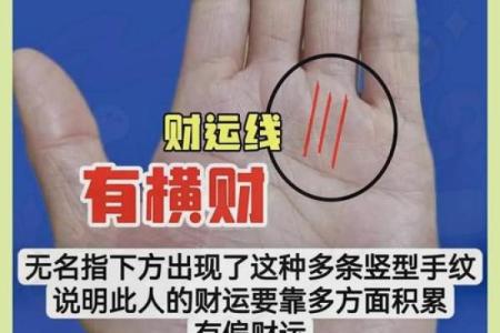 卫斯理揭秘风水秘密为你点亮成功财运之路