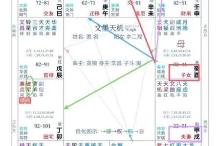 什么是紫薇星盘