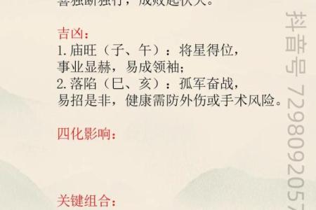 紫薇斗数精成大家