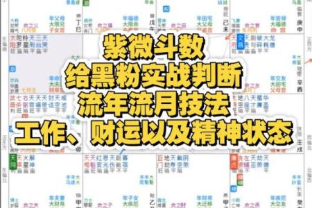 紫薇斗数流年运禄
