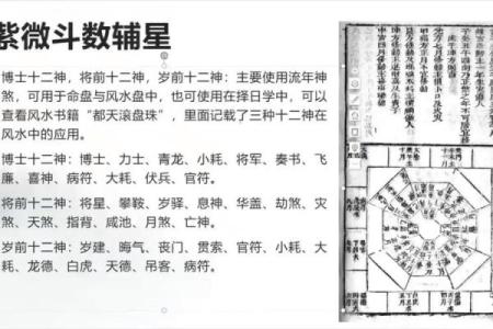 紫微斗数诸星落命宫之：火星、铃星详解