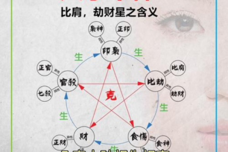天干、地支、五行、十神是什么？超简单教你快速认识自己的八字