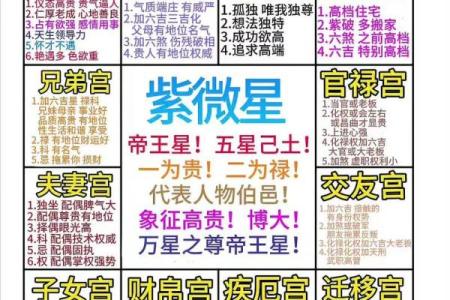 紫薇斗数看姻缘
