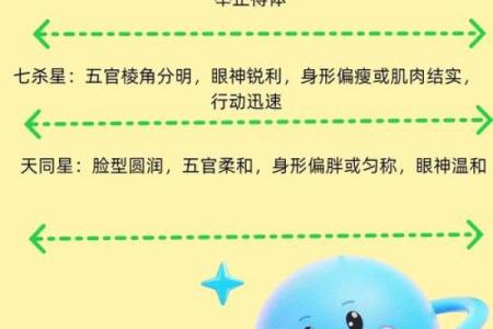 观星阁紫薇斗数