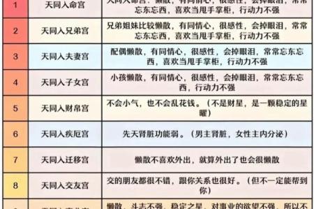 紫薇斗数好学不