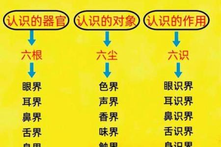 深度解析以太极易理八字，掌握易理精髓