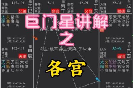 紫微斗数中，巨门星的性质和含义