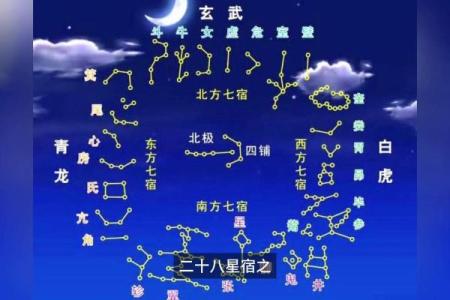紫薇斗数星宿详解
