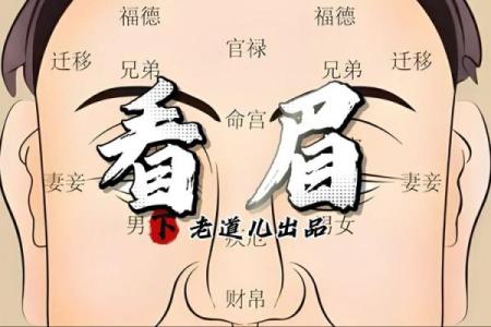 眉毛很浅在面相算命中是怎么说