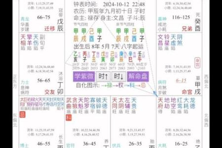 中华紫薇斗数在线排盘