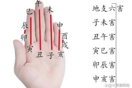 八字全部相冲好不好