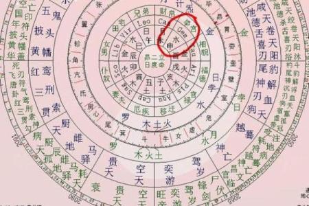 紫薇斗数陀罗在子女