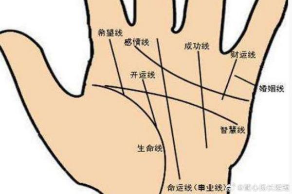 女性手掌纹算命图解婚姻