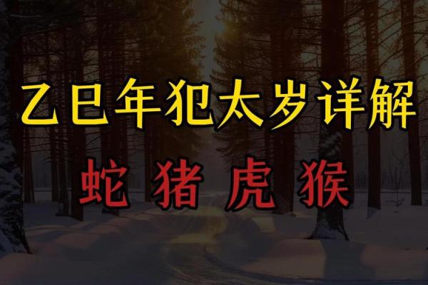算命蛇猪