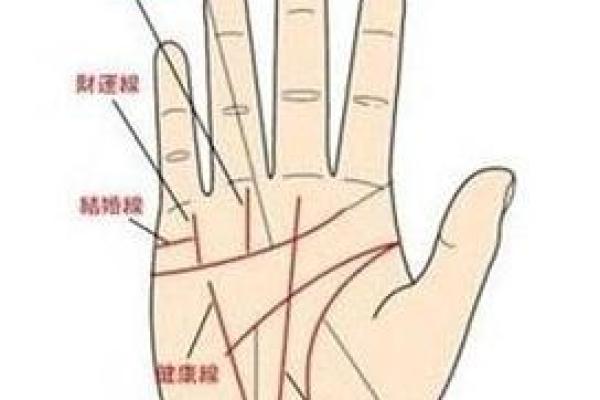 看手相算命：第三课 指头与掌型