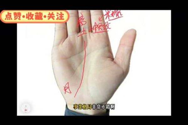 看手相算命：第三课 指头与掌型