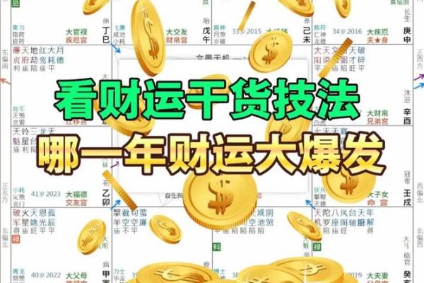 紫微斗数大财 紫微斗数大财看田？