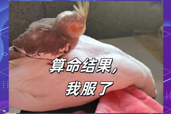 因将生辰八字给了算命老头，我全身溃烂，尿液自己朝外流