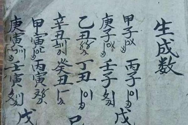 八字txt