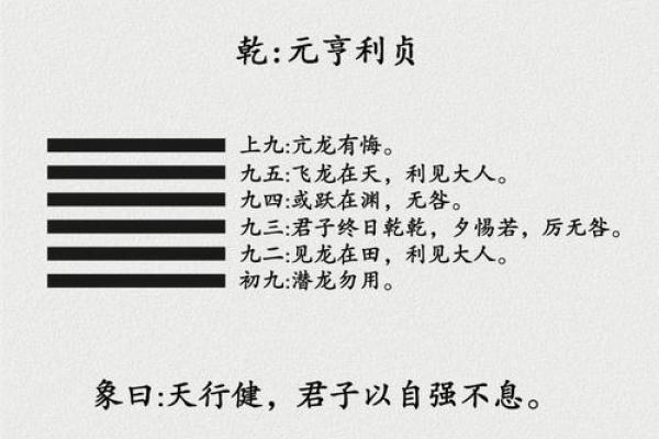 紫微斗数之八卦万物类象:乾卦详解 紫微斗数之八卦万物类象:乾卦详解