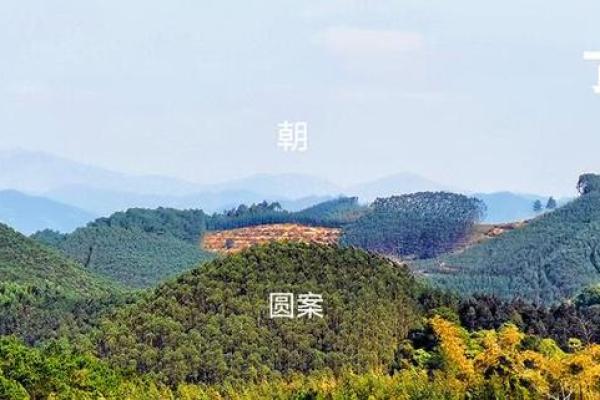 坟墓风水：坟墓出现冒青烟异象