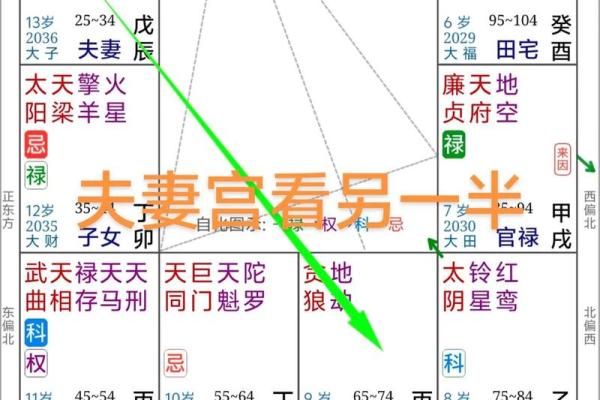 紫薇斗数桃花指数