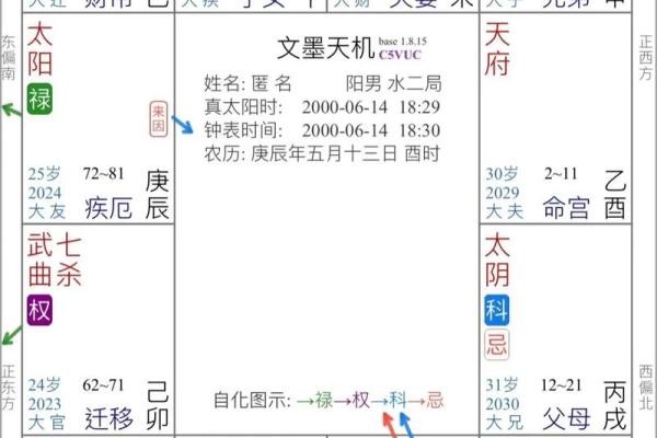 紫薇斗数运疾