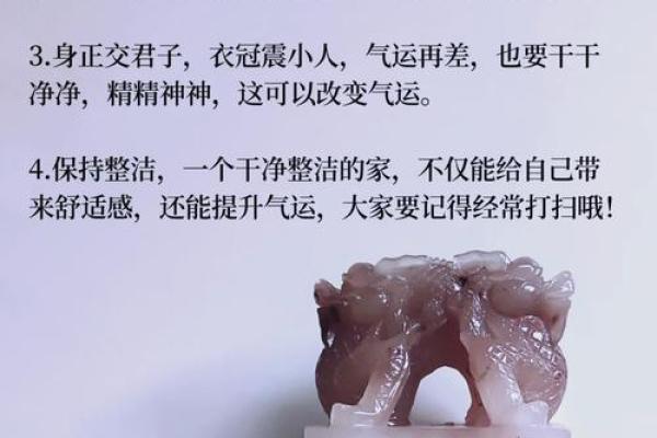 想要家庭运势好  让家里变旺的风水值得了解