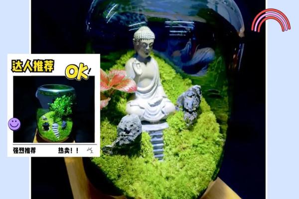 让家庭和谐青苔的风水
