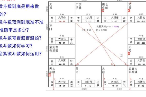 紫薇斗数通天