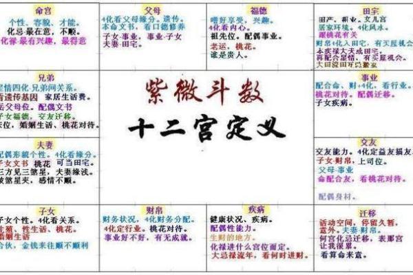 紫薇斗数主要看哪里