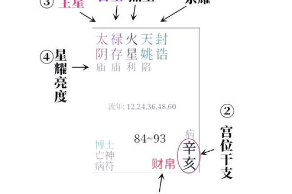 紫薇星命盘解读金牛座