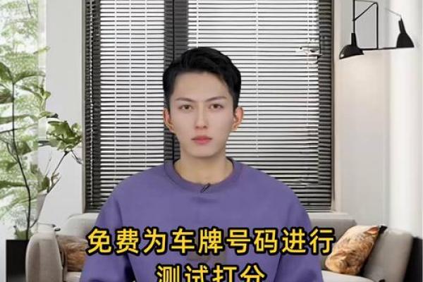 八字测车牌号码测吉凶测试