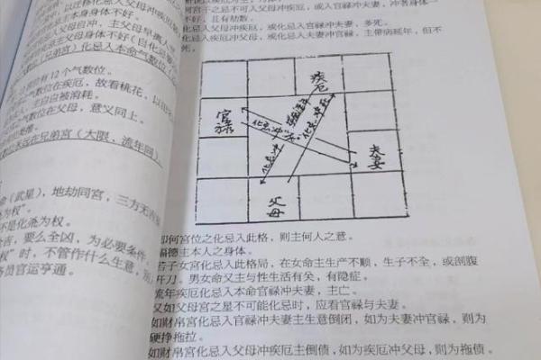 民间紫薇斗数高手